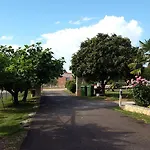 Samanta Novigrad Istria