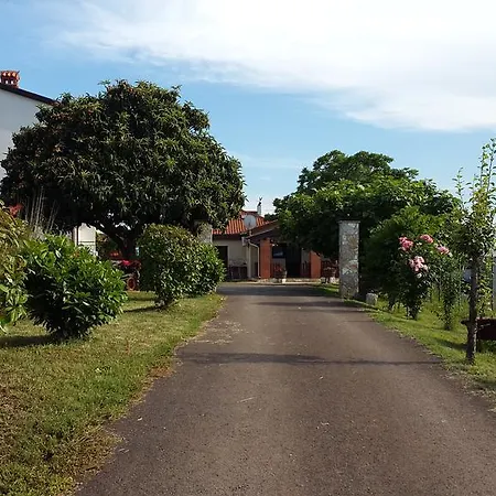 Samanta Novigrad Istria