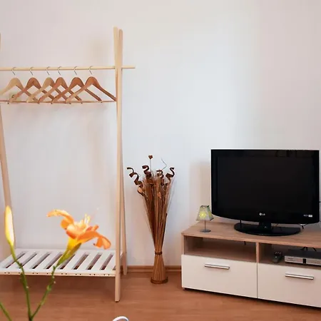 Samanta Novigrad Istria