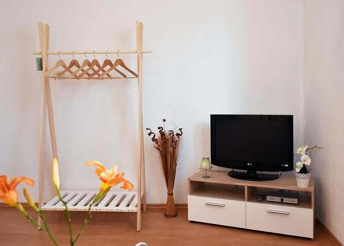 Samanta Novigrad Istria